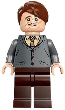 Remus Lupin Brickipedia Fandom