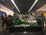 A life-size promotional statue of Blue built for Jurassic World: Fallen Kingdom as seen in the NBC Universal store at Rockefeller NYC.