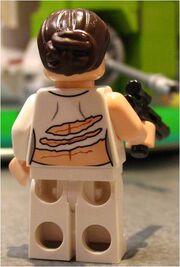 75021 Padme Amidala (Back).jpg