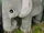4202178 DUPLO Elephant Plush