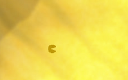 Pacman viewed farther away