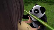 Bambou mangeant du bambou-À la recherche du futur marié