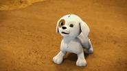 Charlie