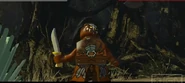 In LEGO The Lord of the Rings: The Video Game