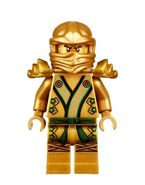 Lloyd (Golden Elemental Robe)