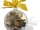 853345 Holiday Ornament with Gold Bricks