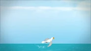 L'oiseau