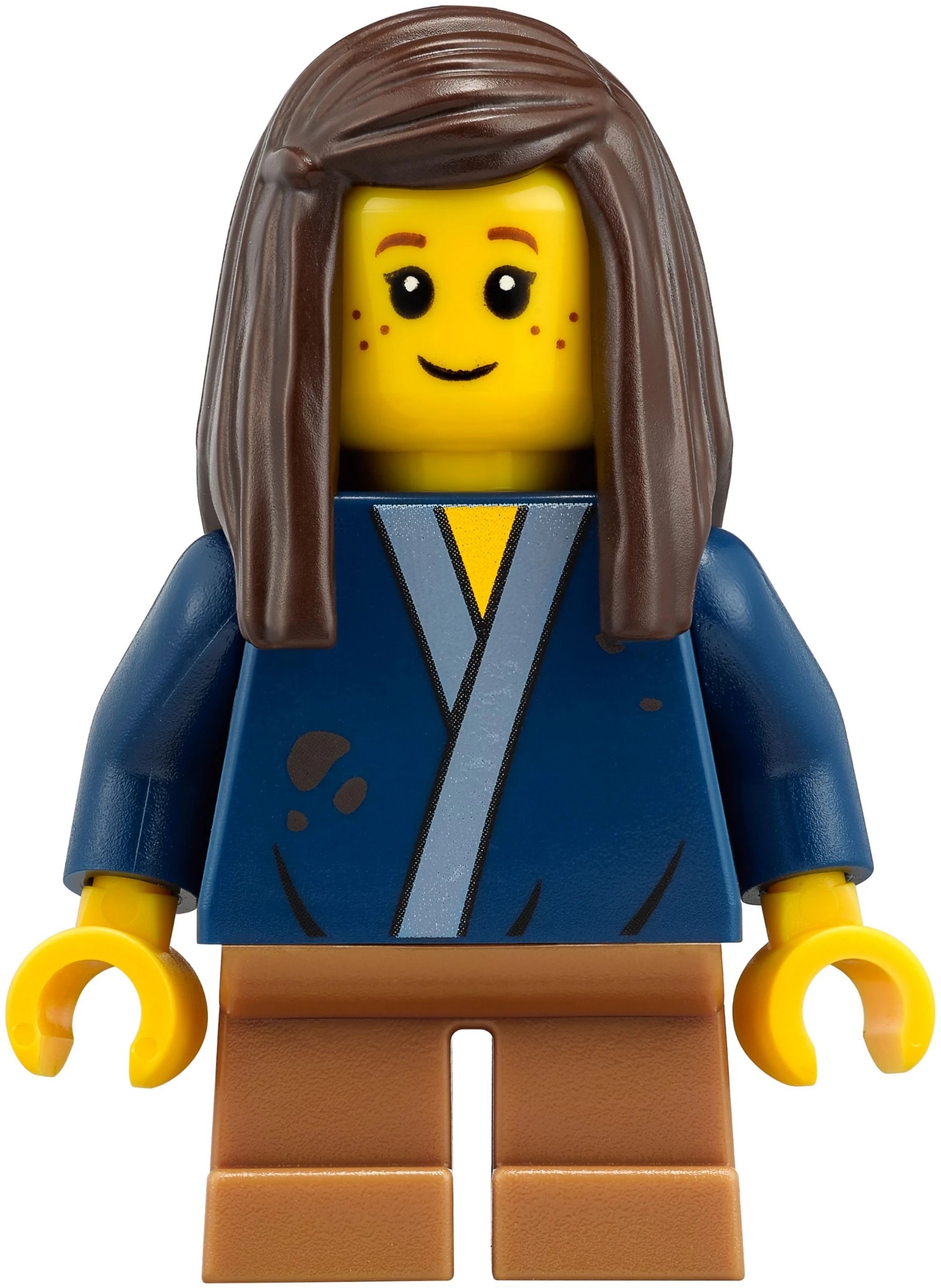 1 LEGO Minifigure Sally Ninjago 