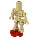 Squelettes (6)