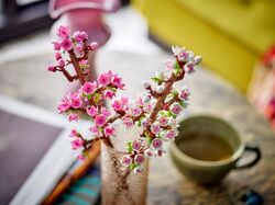 hamham様　専用ページ 40725 Cherry Blossoms | Brickipedia | Fandom