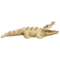 Alligator albinos