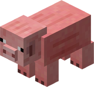 A pig, as it appears in Minecraft