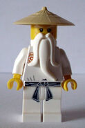 Sensei Wu's minifigure.