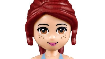 Friendly New Year, LEGO Friends Wiki