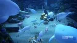 The Narwhal pod doesn’t appreciate Carter menacing their new friends.