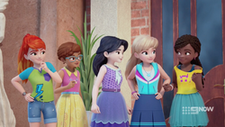 Frame & Fortune | LEGO Friends Wiki | Fandom