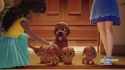 Andrea patting puppies.