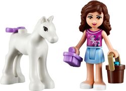 Olivia's Newborn Foal (41003) | LEGO Friends Wiki | Fandom