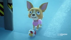 Sherlock has a cupcake.