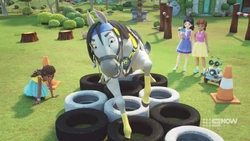 Andrea teaching Barney the tyre obstacle run.