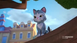 Chico sitting on a tree branch.