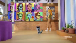 She is wondering why Chico is wearing a beret and sitting there.