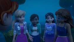 Why are we looking for a horse?