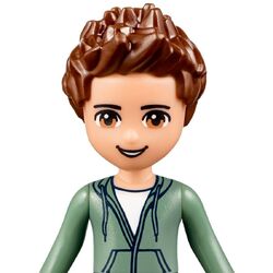 Lego friends male characters shop