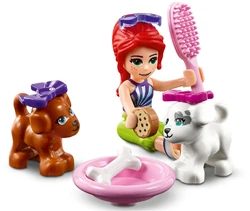 41396 alt3.jpg (168 KB) Mia grooming the dogs.