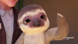 Wallace the sign language fluent sloth.