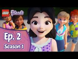 Friendship House LEGO Friends Wiki Fandom