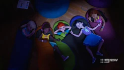 Treehouse sleepover.