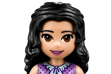 Liz LEGO Friends Wiki Fandom