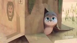 The box was moving because there is a seal pup hiding under it.