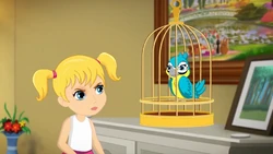 Stephanie getting annoyed at the parrot.