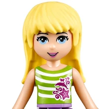 lego friends 41094