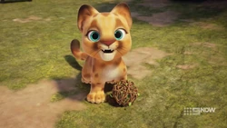 The cub wants to play with everyone.