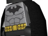 Batman/LBM