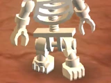 Skeleton