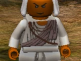 Village Elder/LIJ