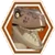 Velociraptor icon