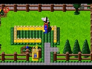 Screenshot, in Pepper's De-Bricked house