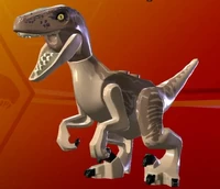 Velociraptor