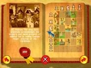 End of the Pirate Tournament