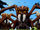 Spiders