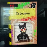 CatwomanProfilePic 6206.jpeg (3.13 MB)