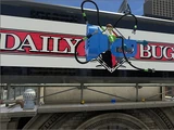 Daily Bugle