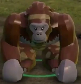 Gorilla girl