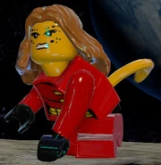 Robin Disguise Cheetah in LEGO Batman 3: Beyond Gotham