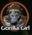 Gorilla Girl token.